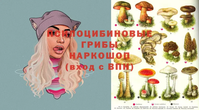 Галлюциногенные грибы MAGIC MUSHROOMS  купить  цена  Жуков 